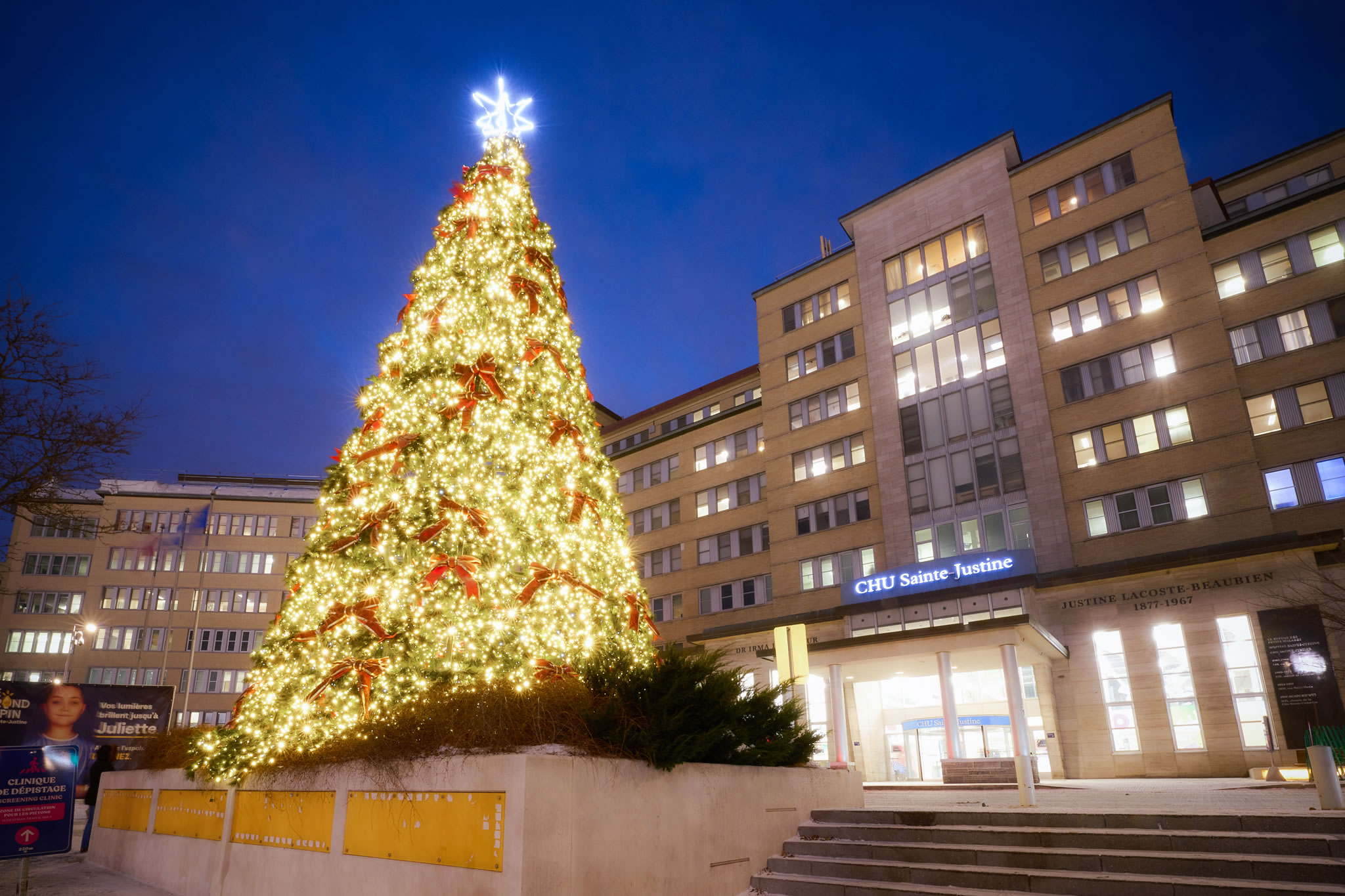 Le Grand sapin du CHU Sainte-Justine