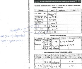 Carnets De Vaccination Etrangers