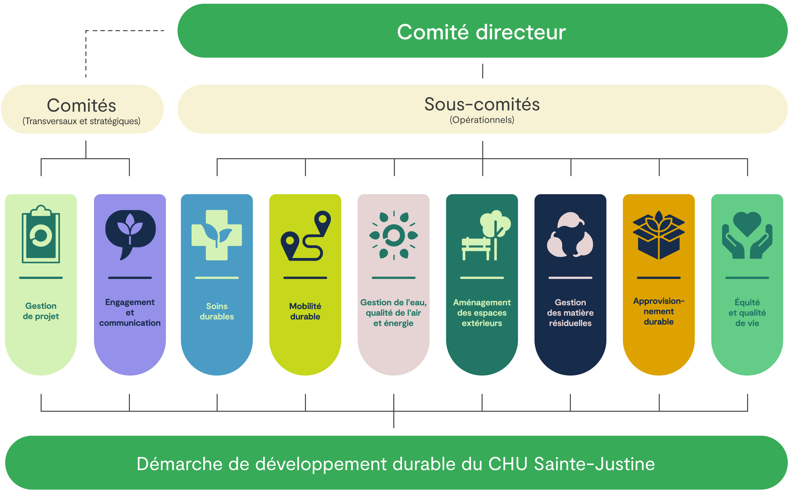 Diagramme comité directeur