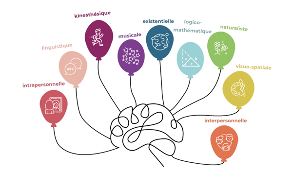 Les dimensions de l'intelligence