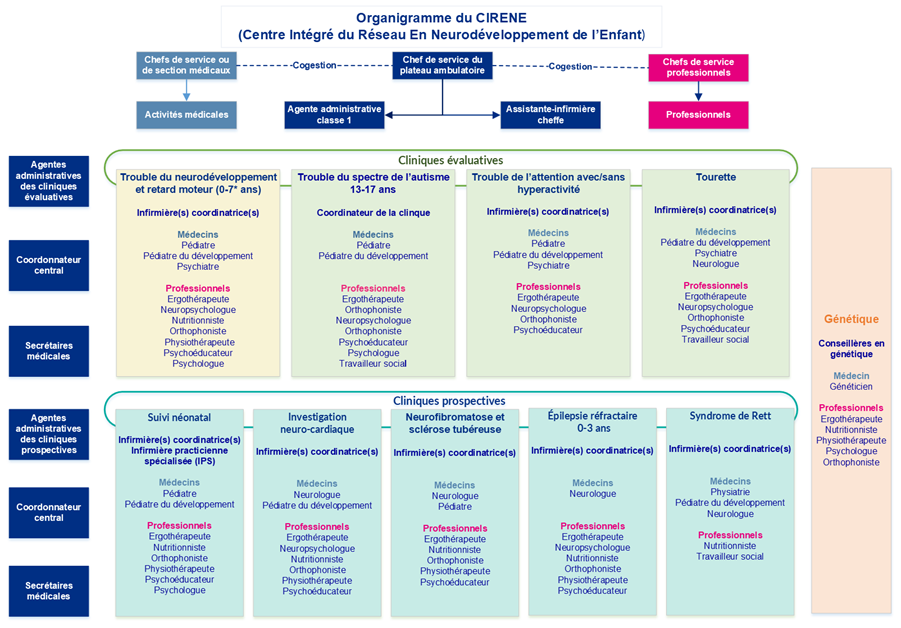 Organigramme CIRENE